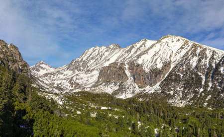 Winter scenery in Slovakia - coniferous trees with Patria peak in Tatras mountains range at distance