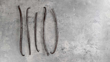 Five vanilla pods on gray stone like board, space for text right sideの写真素材