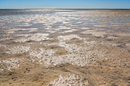 Sun shines to shallow sea during low tide, wet sand visible, sandy shore in distanceの写真素材