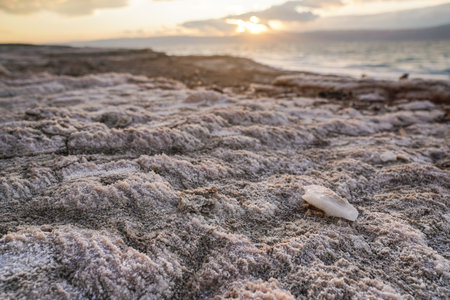 Sand and stones covered with crystalline salt on shore of Dead Sea, clear water backgroundの写真素材
