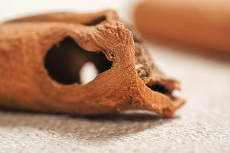 Closeup detail - Natural, irregular looking cinnamon bark stick end with hole on linen tablecloth.