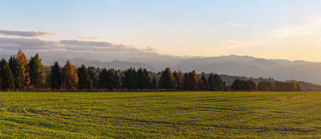 Meadow with small forest and hunters wooden high stand on autumn evening, some mountains in distanceの写真素材