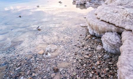 Sand and stones covered with crystalline salt on shore of Dead Sea, clear water near - typical scenery at Ein Bokek beach, Israelの写真素材