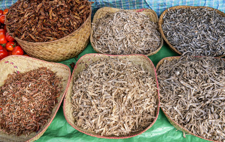 Small dried fish and insects displayed in straw baskets on food market at Ranohira, Madagascarの写真素材