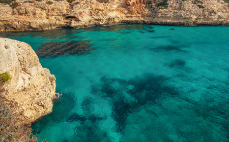 Clear blue green sea water, rocky cliffs around - nice sunny day at Ansa de s'Estri, Mallorcaの写真素材