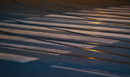 Steel tram tracks and white cross walk on asphalt road illuminated by street lights, closeup night photoの写真素材