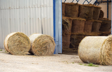 Hay stack rolls at farm, metal storage barn in backgroundの写真素材