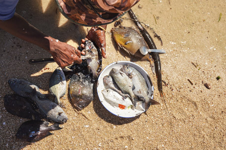 Local Malagasy fisherman cleaning freshly caught fishes on the beach, detail on hands and knife,...