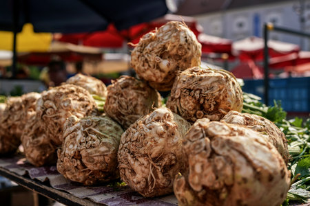 Celeriac or turnip-rooted celery roots displayed on street vegetables market.の写真素材