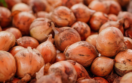 Heap of orange onions displayed at street food market, closeup detailの写真素材