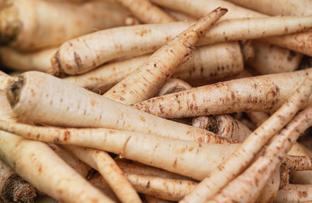White parsnip or parsley roots displayed on street food market, closeup detailの写真素材