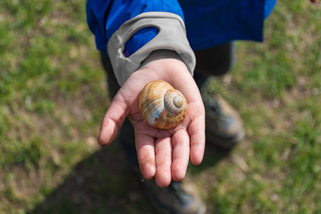 Young boy showing a snail in his palmの写真素材