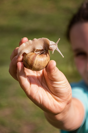 Young girl showing a snail in her palmの写真素材