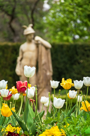 Tulips in front of antique statue on spa island in Piestany (SLOVAKIA)の写真素材