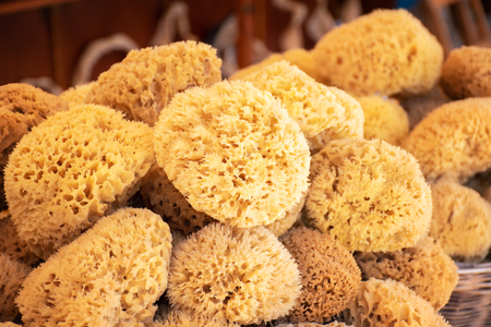 Sea sponge on display in street shop on Symi island (Rhodes, Greece)の写真素材