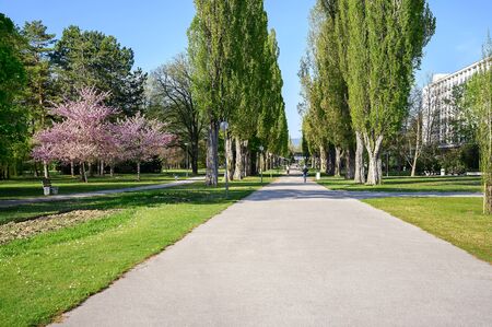 Asphalt walk through park on spa island in Piestany (SLOVAKIA)の写真素材