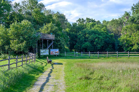 Wooden watch tower to watch colonies of tree-breeding white storks in Marchegg Reserve (Marchegg, AUSTRIA)の写真素材