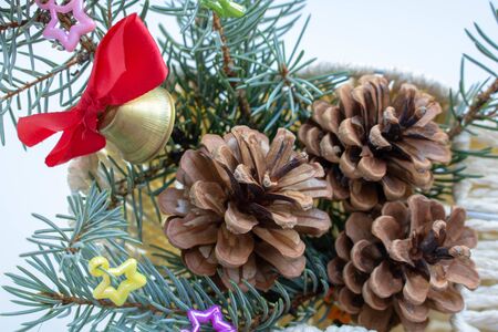 pine cones decorated on white background leaf green twigの写真素材