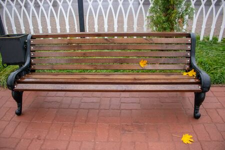 Autumn yellow fallen leaf on the wet wooden bench in the park. Fall season composition after rain.