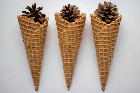 Pine cones in a waffle cone on white background.