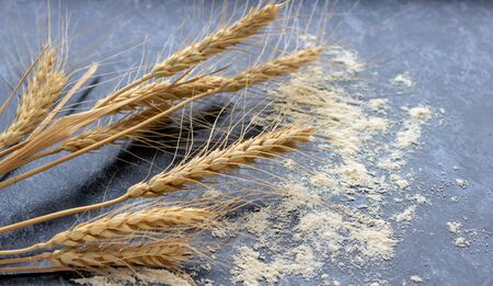 Baking class or recipe concept on dark background, sprinkled wheat flour, grain and ears with free copy space. Top view on wooden board or table. Cooking dough or pastry.の写真素材