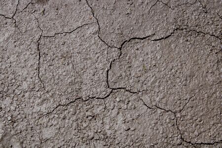 Dried cracked Earthen soil background texture of the soil. A mosaic pattern of earth's dried soil