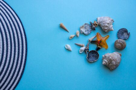 Sea shells edge of the hat on a blue background.The concept of vacation, travel.