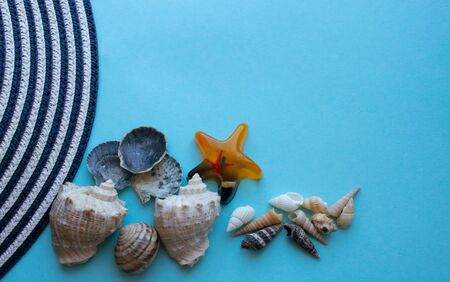 Sea shells edge of the hat on a blue background.The concept of vacation, travel.の写真素材