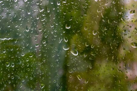 Rain drops on window with green tree in background.の写真素材