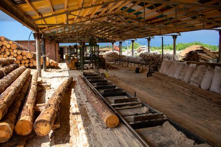 Sawmill under the roof under the open sky . Equipment for processing logs