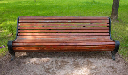 Warm evening in summer park, empty bench for rest.