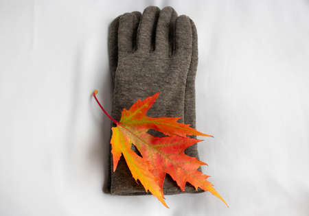 Gray gloves with maple leaves on a white background, isolated. The concept of autumn.の写真素材