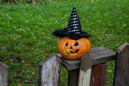 A cheerful pumpkin in a Witch's hat is sitting on the fence.The Concept Of Halloween.の写真素材