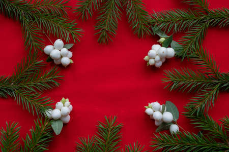 Frame of green fir branches and white dogwood berries on a red background. The concept of Christmas and the new year. Space for your text.の写真素材