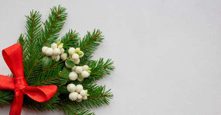 Christmas bouquet with fir branches, red bow and white dogwood berries on a white background . Christmas card. The theme of a winter holiday. Happy New Yearの写真素材