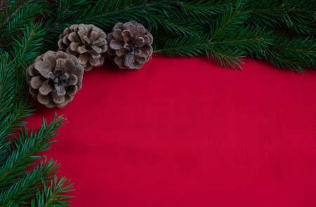 Three pine cones and blue spruce branches lie on a red background. The concept of the New year and...
