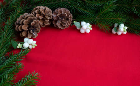 Three pine cones and spruce branches with white dogwood berries lie on a red background. The concept...