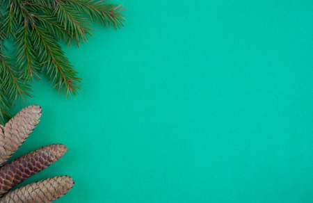 Three pine cones and green fir branches lie on a green background. The concept of the New year and Christmas.の写真素材