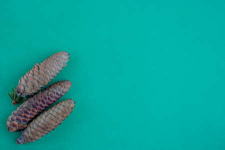 Three pine cones lie on a green background. The concept of the New year and Christmas.の写真素材