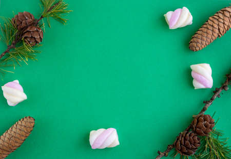 Three pine cones and green fir branches lie on a green background. The concept of the New year and...