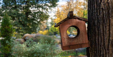 A brown squirrel feeder hangs from a tree in the Park. The concept of the environment.