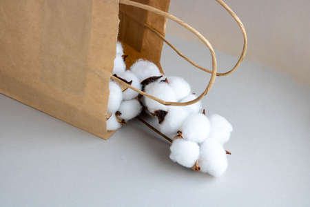 Organic eco-friendly paper bag with cotton flowers on a gray background. Zero waste and eco-friendly concept.の写真素材