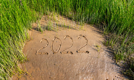 In the middle of the green grass, the numbers 2022 are on the wet sand. The concept of the New Year...