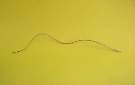 The concept of a minimalist decor. Dry curved stalk of wild onion on a yellow background.の写真素材