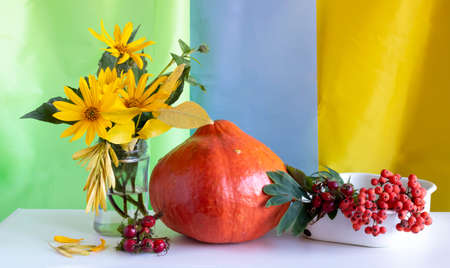 Autumn background for Thanksgiving. Orange pumpkin and yellow flowers on a white wooden table.の写真素材