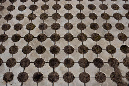 Geometric gray concrete tile with eco-parking cells With a hole for grass. Top view, paving stones for grass, block tiles made of concrete in the form of connected circles.の写真素材