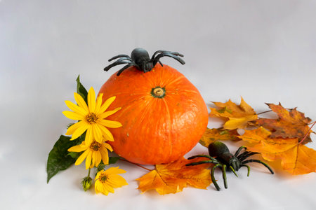 An orange pumpkin, maple leaves, yellow flowers and two spiders. The concept of Halloween. Place for your text.の写真素材