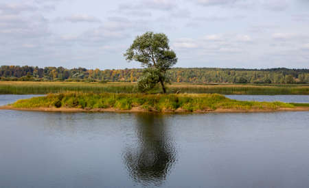Landscape, a lonely tree on an island in the middle of the lake is reflected in the dark water.の写真素材