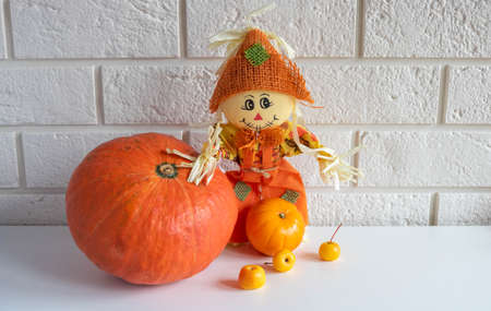 Scarecrow and pumpkin on a white background.Halloween and Thanksgiving Day Conceptの写真素材