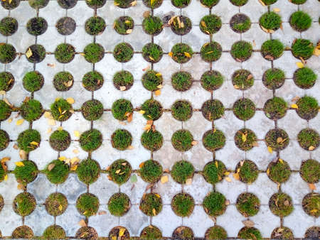 Geometric gray concrete tile with eco-parking cells With a hole for grass. Top view, paving stones for grass, block tiles made of concrete in the form of connected circlesの写真素材